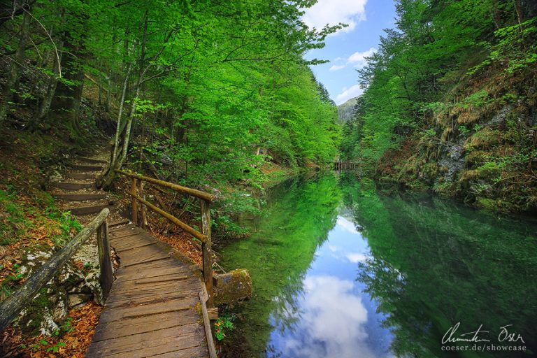 f490c108098921b9482b065a265a2fc7-d5hgg98