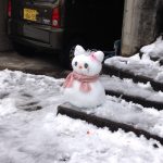 foto extra para poner en algun lugar